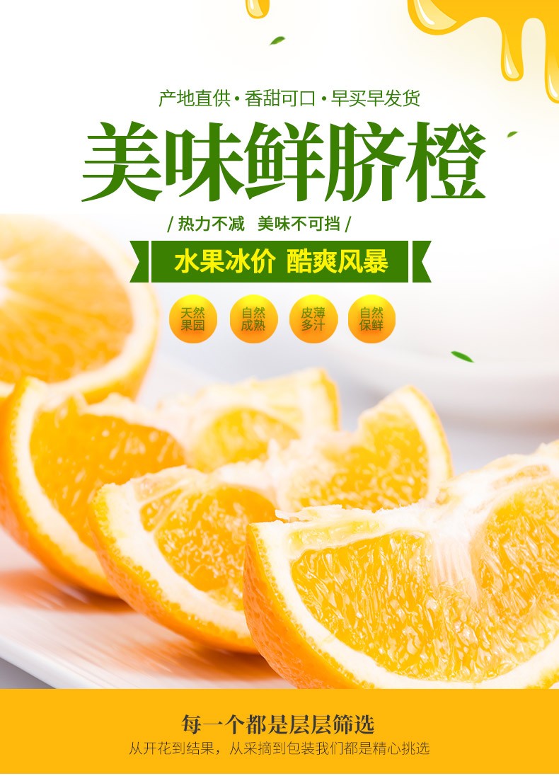 江西赣南脐橙 新鲜橙子赣南夏橙 精品（70-75）10斤特惠装 （净重9斤） 赣南脐橙(图1)