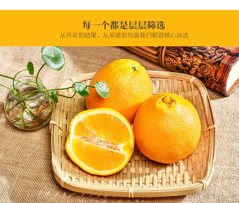 江西赣南脐橙 新鲜橙子赣南夏橙 精品（70-75）10斤特惠装 （净重9斤） 赣南脐橙(图6)