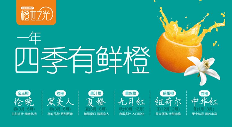 正宗秭归伦晚甜橙子 现摘当季新鲜水果 精品大果15-18颗礼盒装带箱10斤净8.8斤(图1)